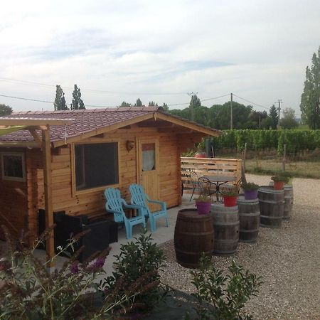 Le Sang Des Vignes Bed and Breakfast Monbazillac Eksteriør billede